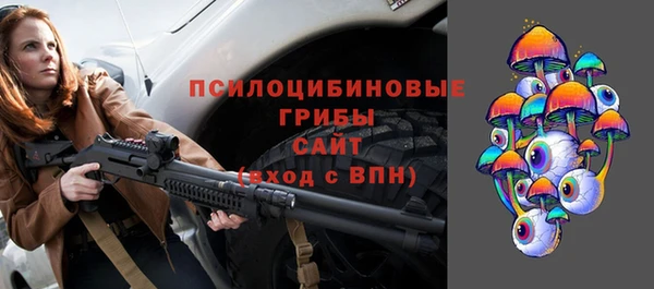 прущие грибы Белоозёрский