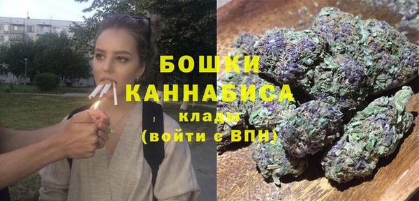 прущие грибы Белоозёрский