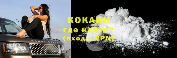 прущие грибы Белоозёрский
