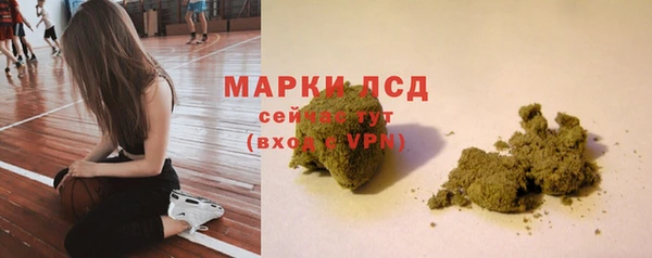 PSILOCYBIN Белокуриха