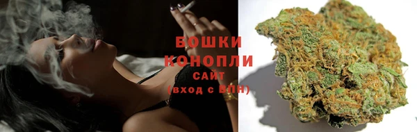 прущие грибы Белоозёрский