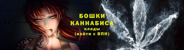 прущие грибы Белоозёрский