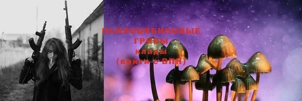 PSILOCYBIN Белокуриха