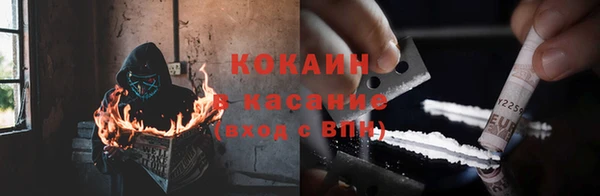 прущие грибы Белоозёрский