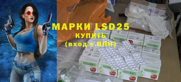 прущие грибы Белоозёрский
