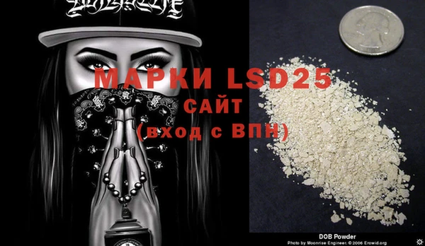 PSILOCYBIN Белокуриха