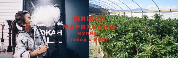 PSILOCYBIN Белокуриха