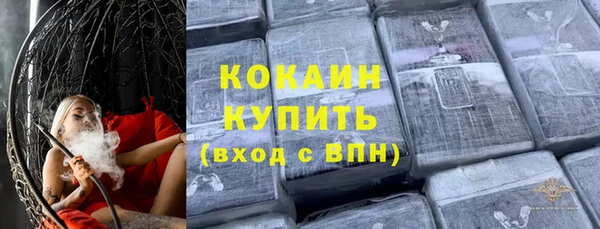 PSILOCYBIN Белокуриха