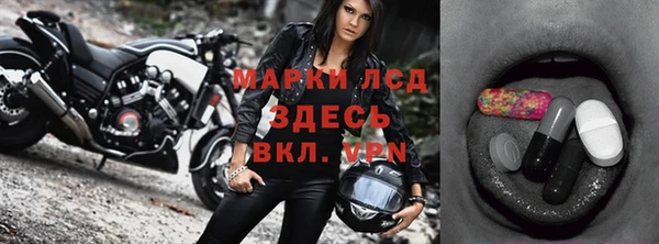 прущие грибы Белоозёрский