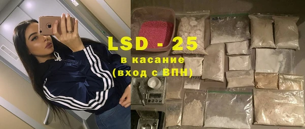 прущие грибы Белоозёрский