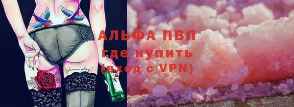 PSILOCYBIN Белокуриха
